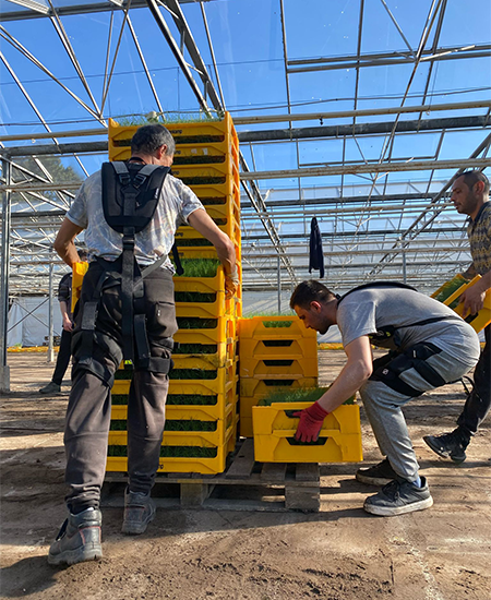 IP19-SKELEX-EDGE-exosquelette-GOBIO photo-IP19-SKELEX-EDGE-exosquelette-GOBIO