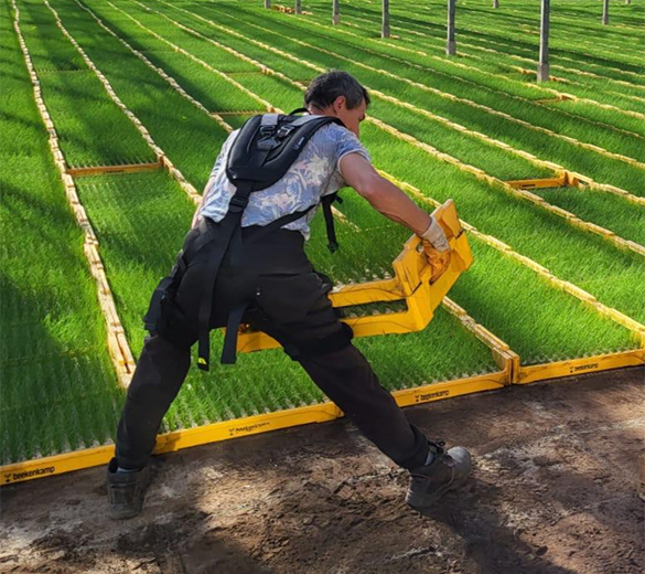 photo-IP19-SKELEX-EDGE-nv-version2025-greenhouse