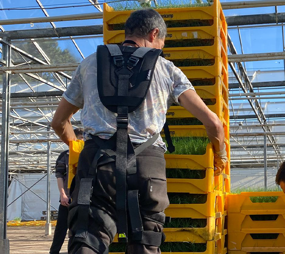 IP19-SKELEX-EDGE-version2025