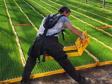 IP19-GOBIO-utilisation-de-l'exosquelette-par-des-maraichers2 IP19-GOBIO-utilisation-de-l'exosquelette-par-des-maraichers2