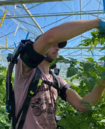 Photo-IP12-utilisation-de-l'exosquelette-en-agriculture3